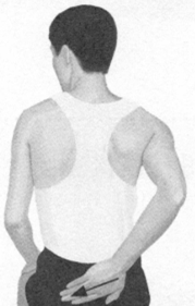 遗精按摩部位图解