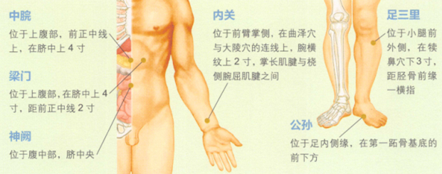 胃痛艾灸哪个部位图解