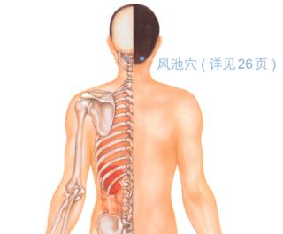 皮肤瘙痒按摩部位图解