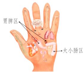 面色萎黄少光泽刮痧部位图解