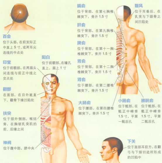 皱纹艾灸哪个部位图解