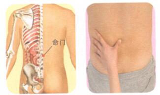 不育症按摩部位图解