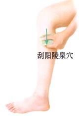 心悸刮痧部位图解