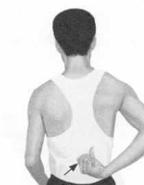 胃痛按摩部位图解