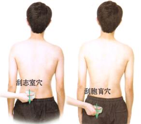 前列腺炎-前列腺肥大刮痧部位图解