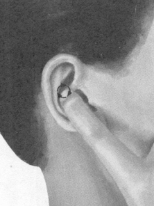 美容美体按摩部位图解