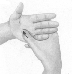 阳痿按摩部位图解