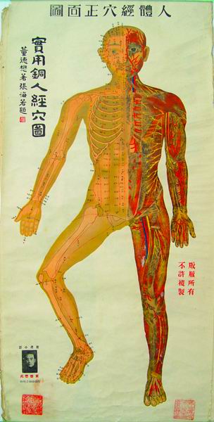 实用铜人经穴图