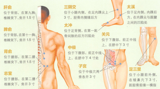 更年期综合征艾灸哪个部位图解