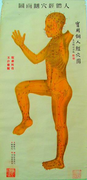 实用铜人经穴图