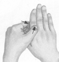 鼻炎按摩部位图解