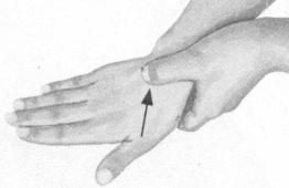 腰椎间盘突出症按摩部位图解