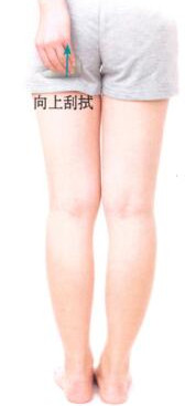 美臀-瘦腿刮痧部位图解