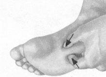 前列腺疾病按摩部位图解