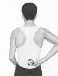 遗精按摩部位图解