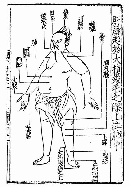 《子午流注针经》十二脉图