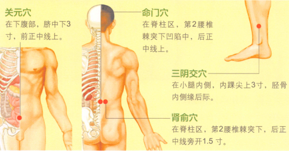 阳痿艾灸哪个部位图解