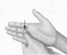 失眠症按摩部位图解