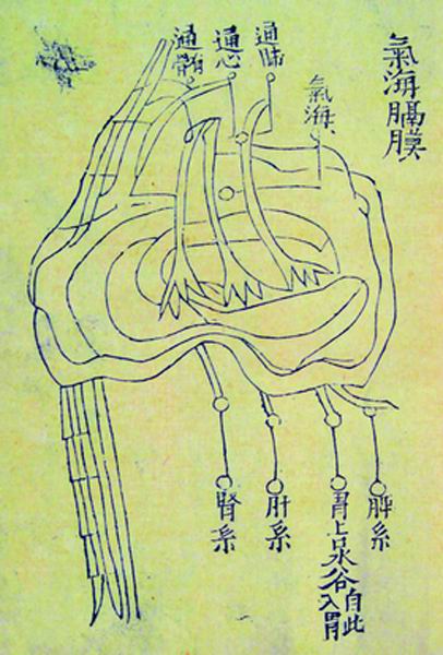 《内照图》传本存真图