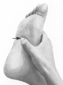 美容美体按摩部位图解