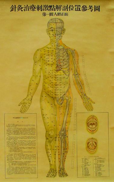 针灸治疗刺激点解剖位置参考图