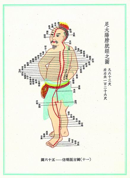 《新针灸学》经穴图