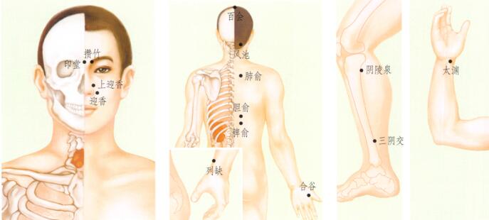 鼻窦炎刮痧部位图解