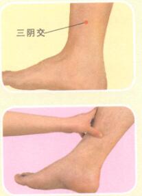 阳强按摩部位图解