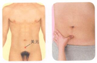 遗精按摩部位图解