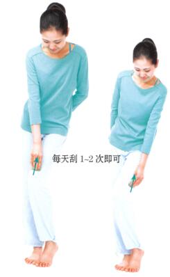 美臀-瘦腿刮痧部位图解