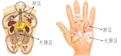 肺和大肠保健刮痧部位图解