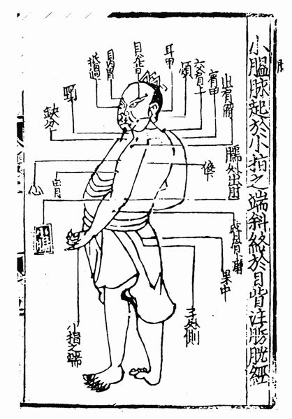 《子午流注针经》十二脉图