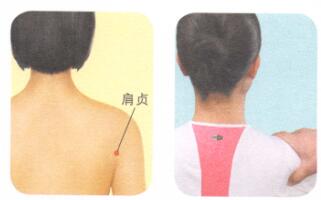 健美肩部按摩部位图解