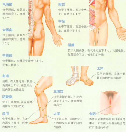 外阴瘙痒症艾灸哪个部位图解