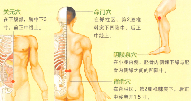 慢性前列腺炎艾灸哪个部位图解
