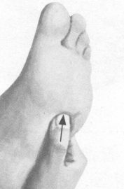 鼻炎按摩部位图解