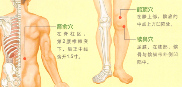 膝关节痛艾灸哪个部位图解