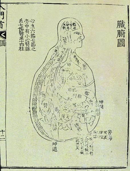 《医学入门》侧人脏腑图