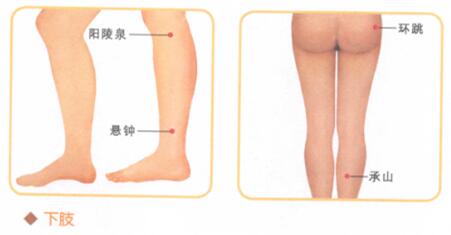 腰背痛按摩部位图解