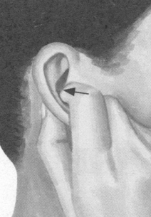 胃肠炎按摩部位图解