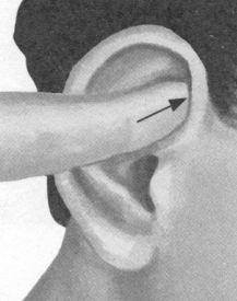 鼻炎按摩部位图解