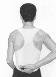 胃痛按摩部位图解