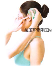 高血压刮痧部位图解