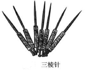 常用三棱针的结构