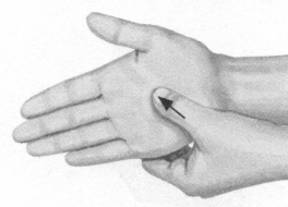 高脂血症按摩部位图解