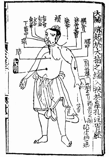 《子午流注针经》十二脉图