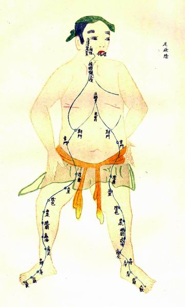 《经络图说》彩绘十四经穴图