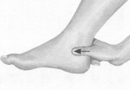 阳痿按摩部位图解