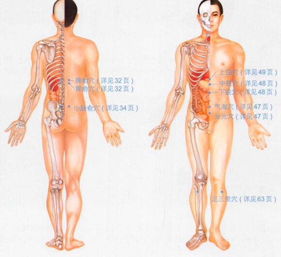 胃下垂按摩部位图解