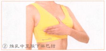 丰胸按摩部位图解